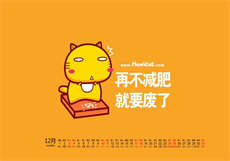 为什么说猪哥偏宠小猫
