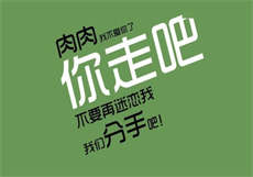 韩国小猪小猫系列
