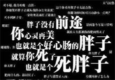 see系列猪猫
